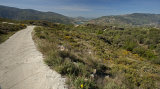 great walking