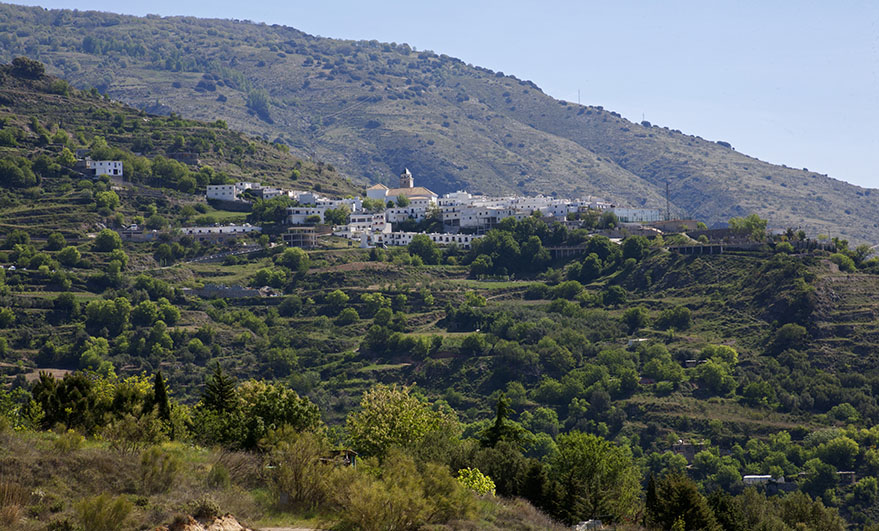 village on the ridge