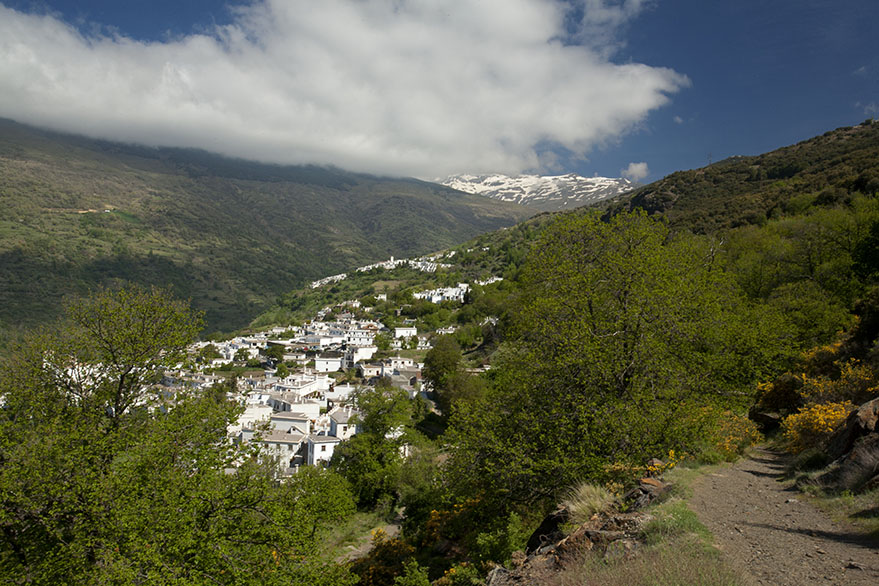 Best view in Las Aljuparras?