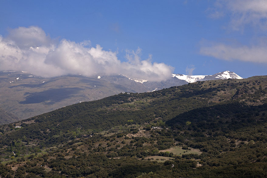 Snow capped mountains