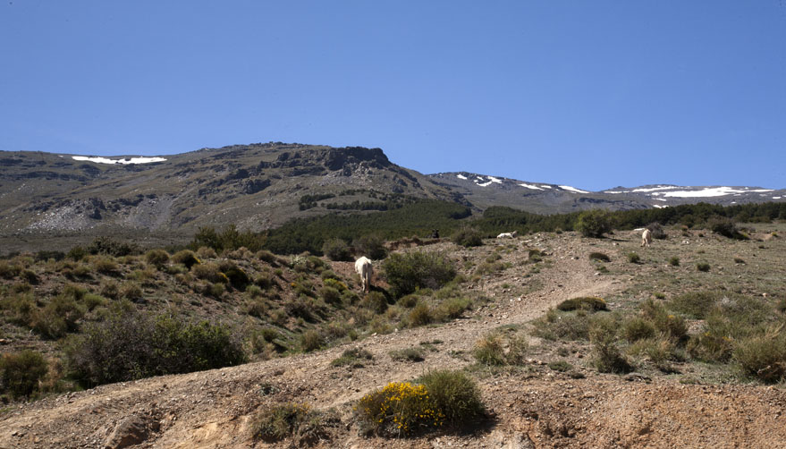 Towards Trevelez