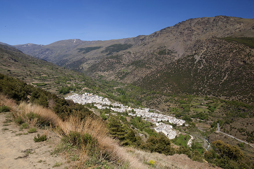 Trevelez