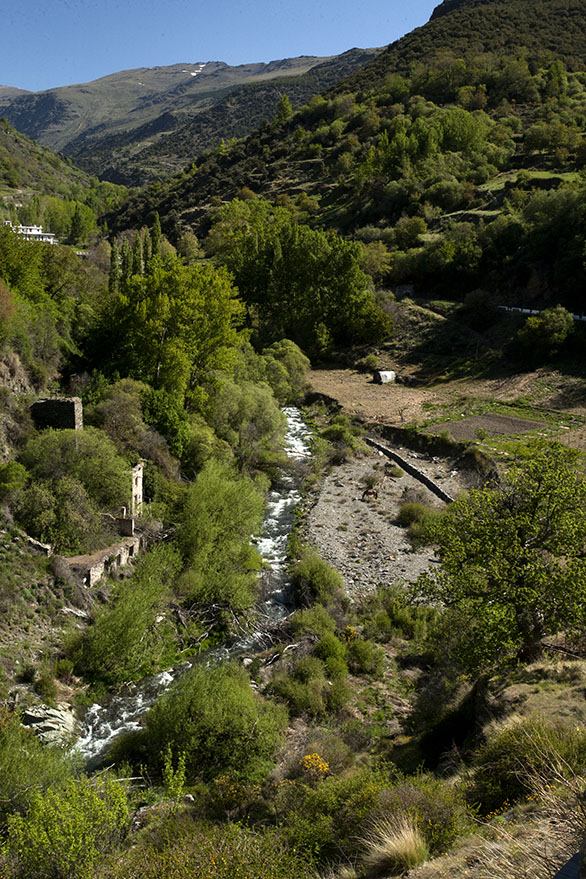 Fertile valley