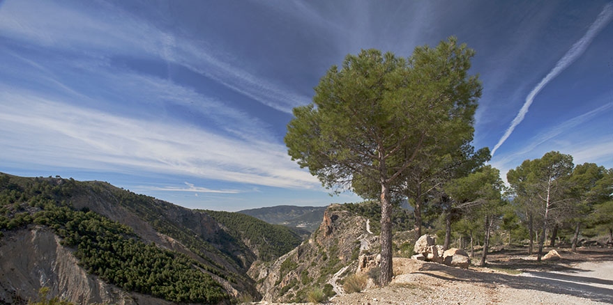 Mountain vista (i)