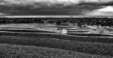 Low tide, Rottingdean (iii)