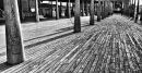Boardwalk(1)