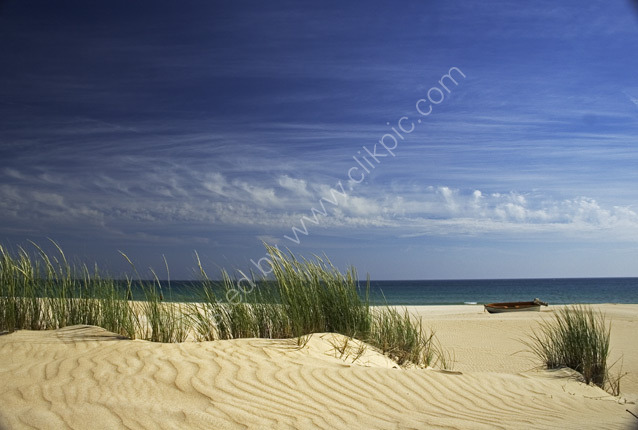 Amongst the dunes