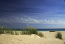 Amongst the dunes