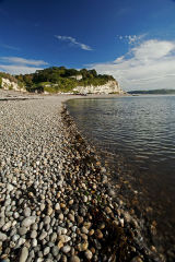 Working Beach