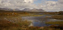 Remote Irish bogland