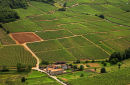 World - famous vineyards