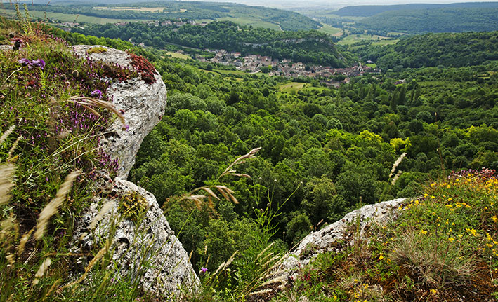 View from the cliffs