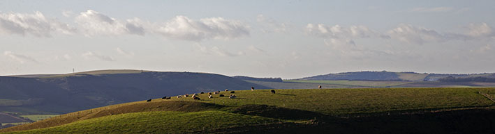 Upland grazing
