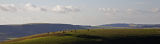 Upland grazing