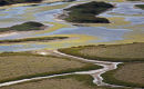 Patterns in the salt marshes