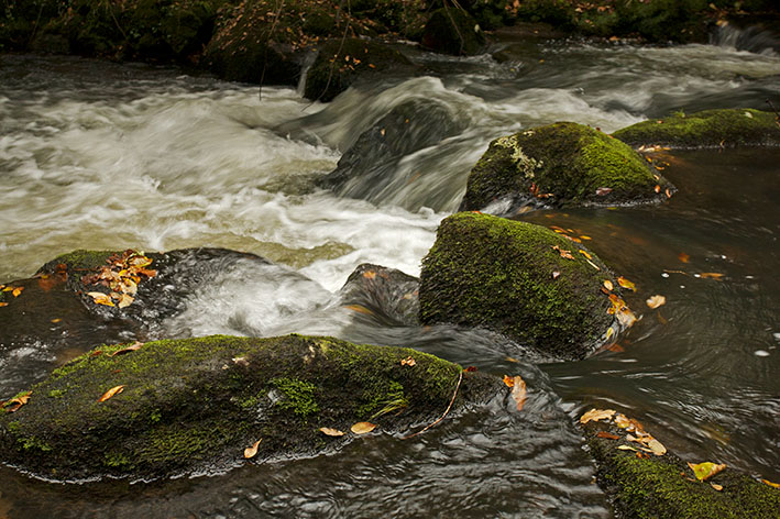 Down from the Moor