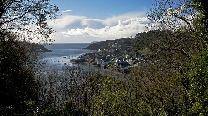 twin ports