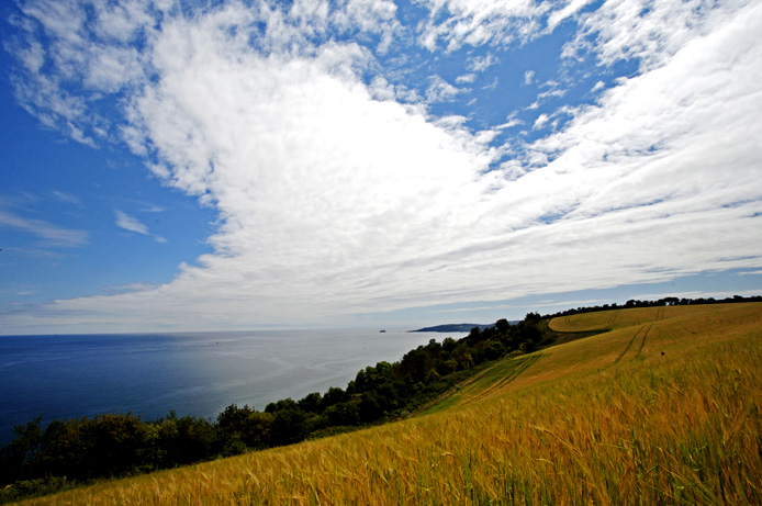 Towards Torquay