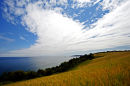 Towards Torquay