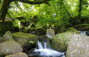 Summer trickle, but winter torrent?