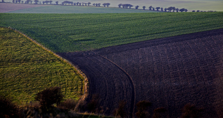 Patterns in the fields