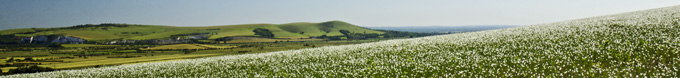 Downland panorama
