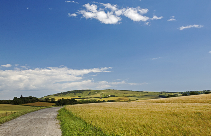 Along the old Coach Road (i)