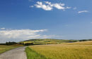 Along the old Coach Road (i)