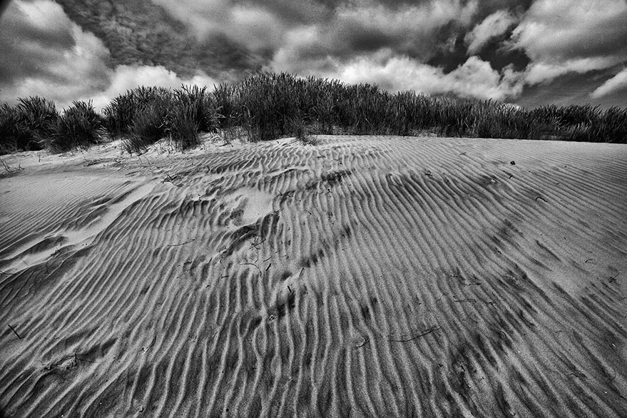 Patterns in the dune