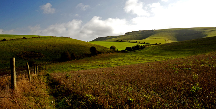 Remote downland?