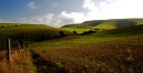 Remote downland?