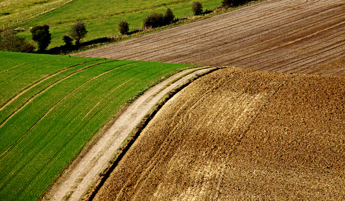 Patterns in the fields