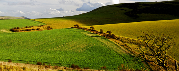 Remote Downland?
