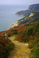 Stunning Clifftop walk