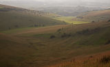 Misty autumn Downs