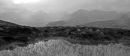 Remote bog