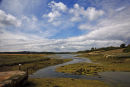 Remote Saltmarshes
