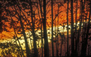 Autumn sunset