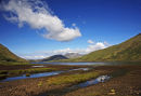 Irish Fjord