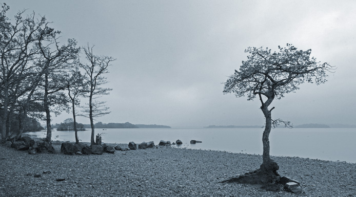 Through the mist