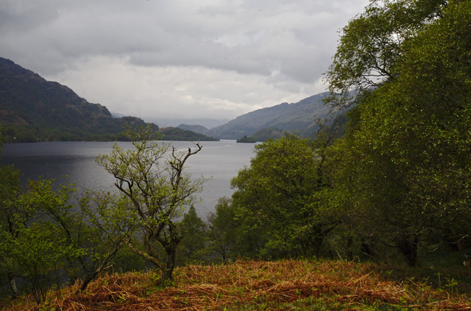 Lochside vista