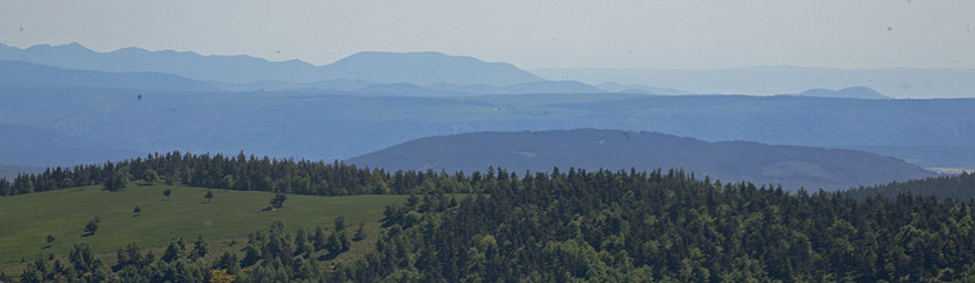 Top of the World?