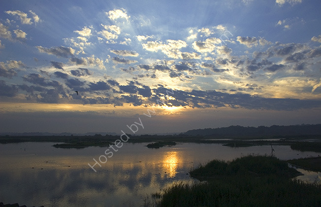 Evening sun at Minsmere