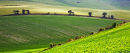 Remote Downland?