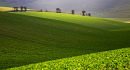 Remote Downland?