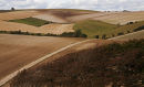 Autumnal fields