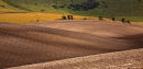 Waves of soil