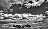 Across the valley