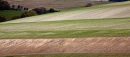 Sussex Downland layers