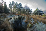 Frozen pond